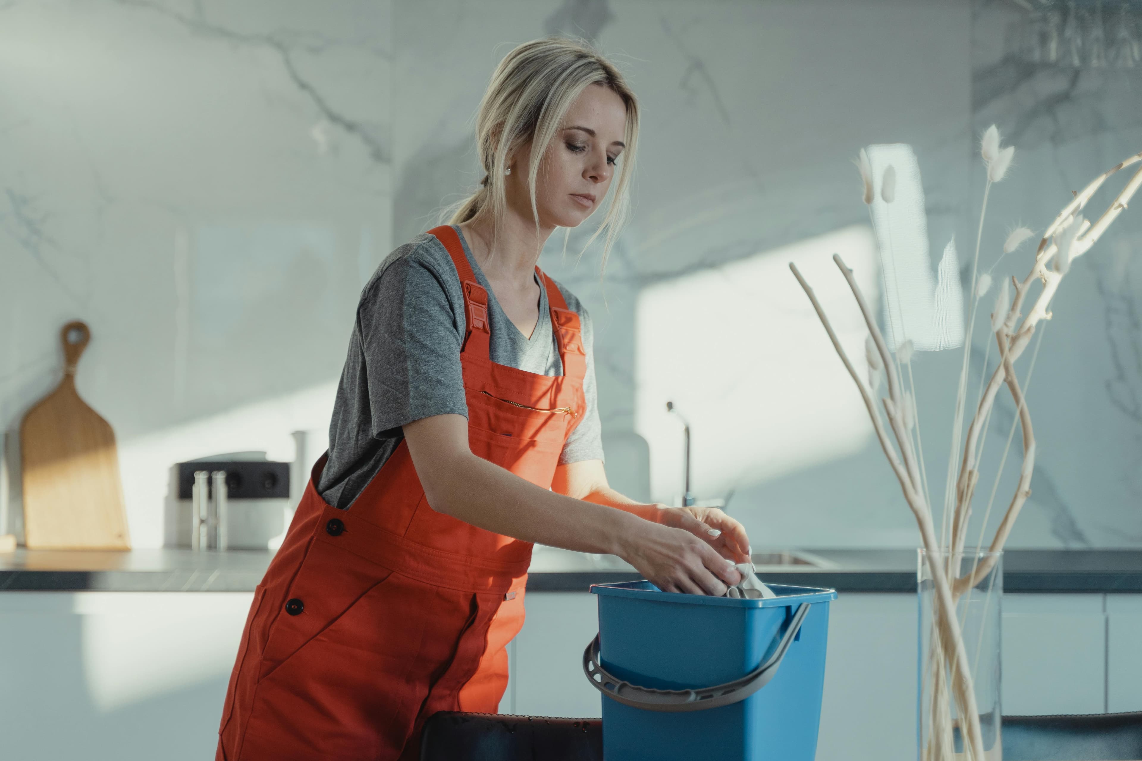 Cleaning Services